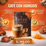 Melena de León Power Coffee