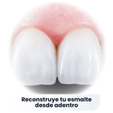 SP-6 Pasta de Dientes Blanqueadora Probiótica